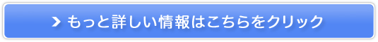 yEуTzJ[\I~cVX̔TCg